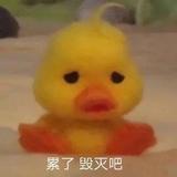 抽着烟睡觉啊头像