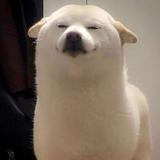 Wᴀɪᴛ7929头像