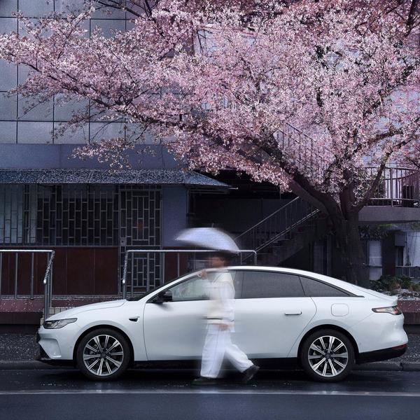 蜗牛的卷发头像