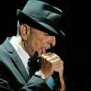 栩的个人资料头像