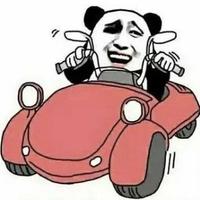 老司机Z开车头像