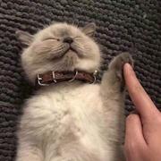 文丶山的个人资料头像