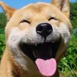 煎饺子不头像