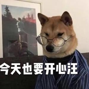 辣条小舵主头像