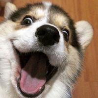 来临川赏雨头像