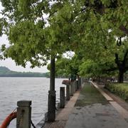 Arthur190的个人资料头像