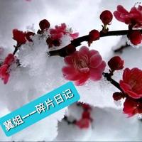 冀姐一碎片日记头像