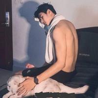 豺狼007头像