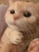 上班不如划水的个人资料头像