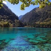 绿水青山35的个人资料头像