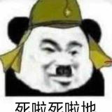 酷酷的闯g头像