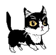 coderHan的个人资料头像