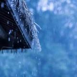 聽雨6045头像