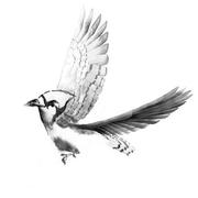 aaaaaaaaaaaaa的个人资料头像