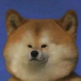 傅北欧头像