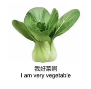 半颗卷心菜的个人资料头像