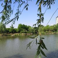 飞跃星辰大海头像