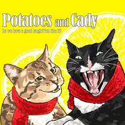 迪迪659的个人资料头像