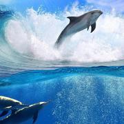 李富强的个人资料头像