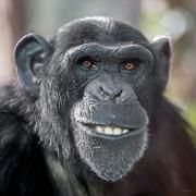 非正经码农的个人资料头像