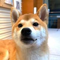 咸鱼哥20头像