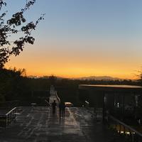 昔阳吸一下头像