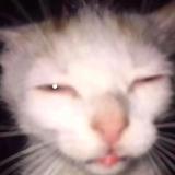 用户1741650294937头像