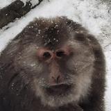 那啥的博越l头像