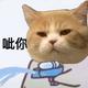 画船听雨眠9880头像