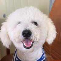 路途会有多遥远头像