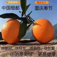 重庆奉节脐橙专卖丶头像