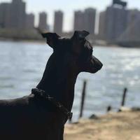 I夜雨霓虹I头像