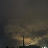 正义凛然百灵鸟ek头像