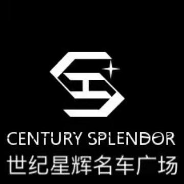 世纪星辉蔡心中头像