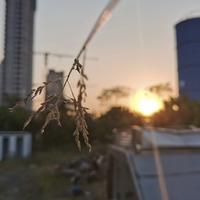 带你沉浸式体验头像