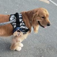 随遇而安CHJ头像