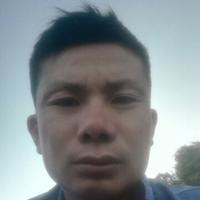 智慧的仝仝辉辉头像