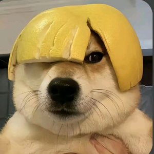 好货沉底头像