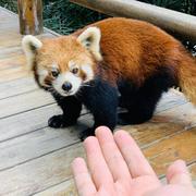 诗酒趁年华353的个人资料头像