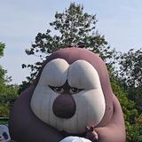 养一辆小速腾头像