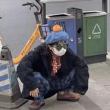 睡觉的时候不困659头像