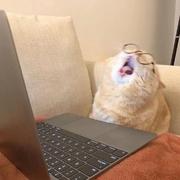 Asahi690的个人资料头像