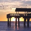 箭猪的个人资料头像