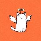 佳玲本尊的个人资料头像