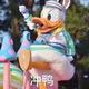 我信思君头像