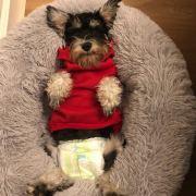 彩云zs的个人资料头像