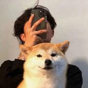 淮北的橘800的个人资料头像