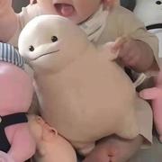 Warmth的个人资料头像