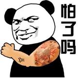 诗意小猫sr头像