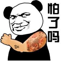诗意小猫sr头像